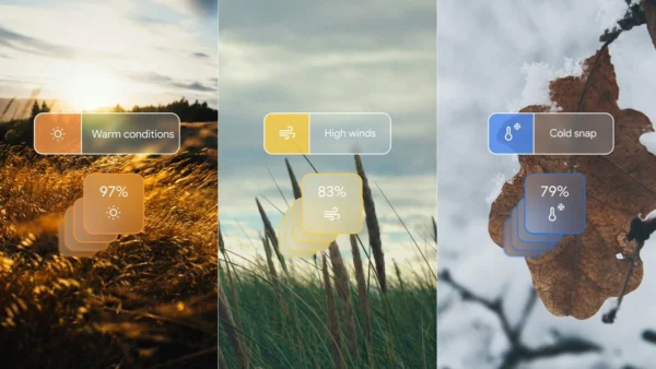 deepmind-nature-weather-forecast