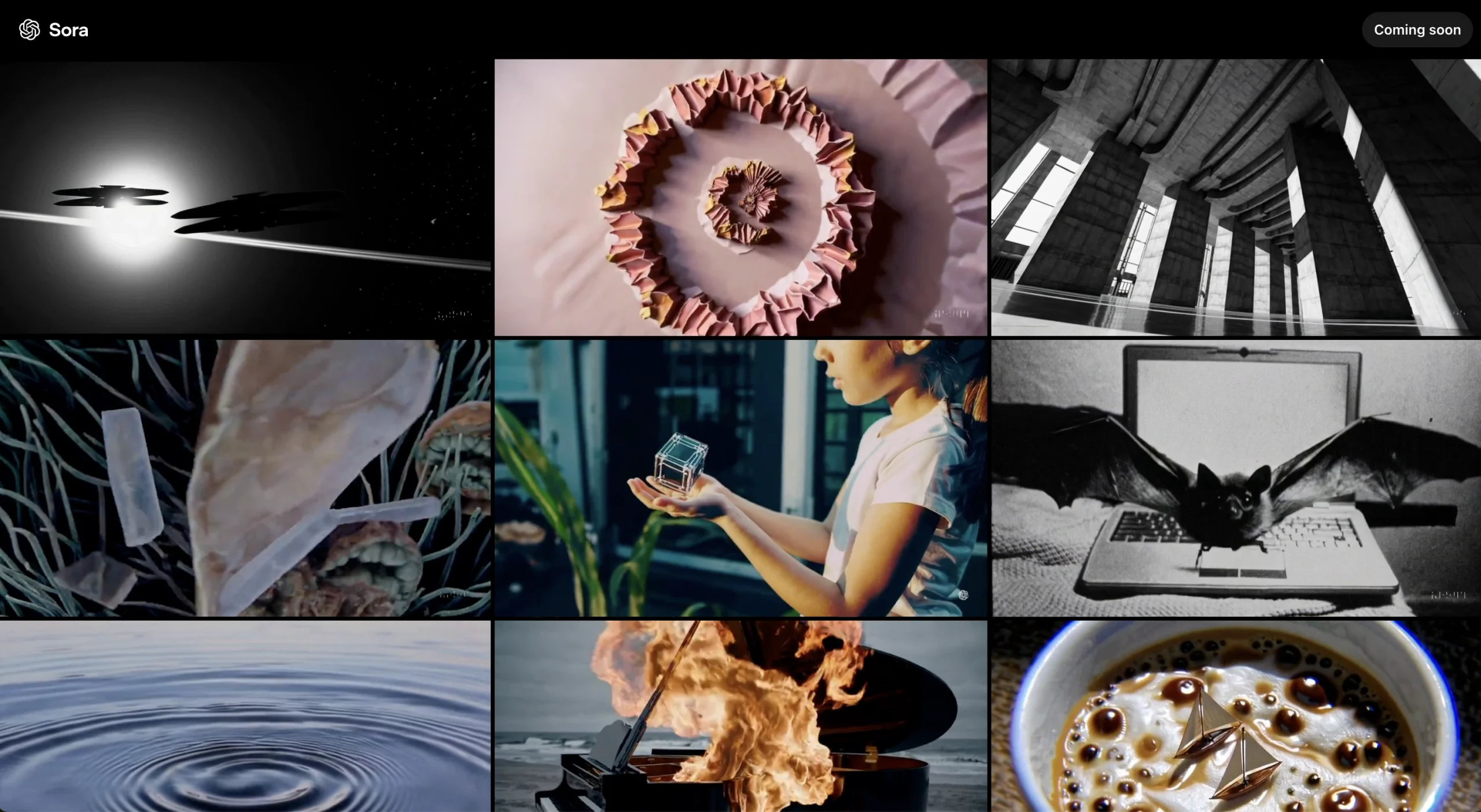 new sora website