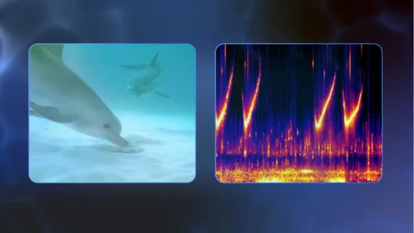 DolphinGemma_ImageCredit-Google